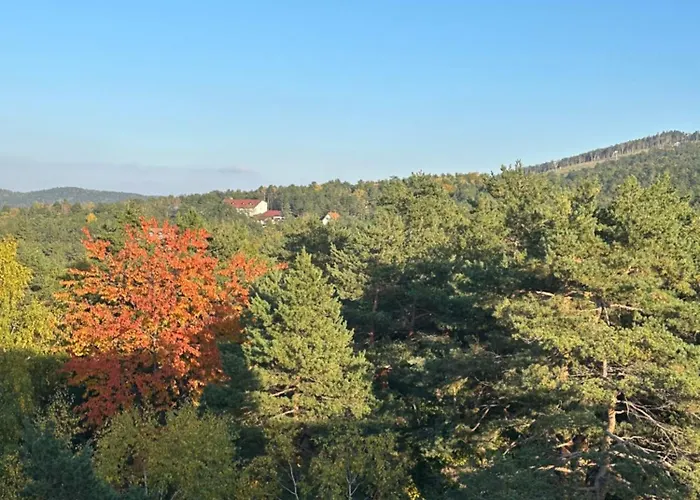 Zmaj 28 Διαμέρισμα Divčibare